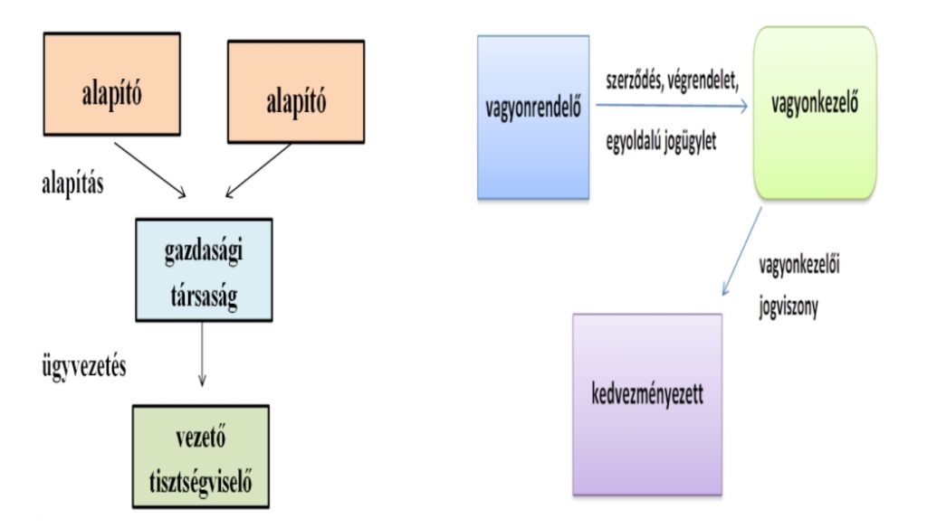  bizalmi vagyonkezelés elhatárolása a gazdasági társaságtól