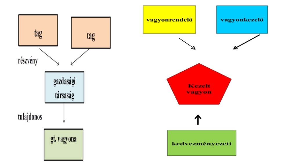 Tulajdonjogi helyzet